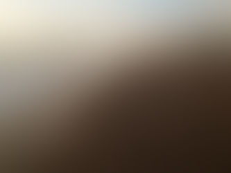 What kind of mist...?