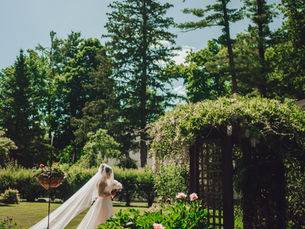 Bride walks down the isle in lush garden wedding in Wisconsin Wedding