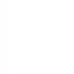 plain white background.jpg