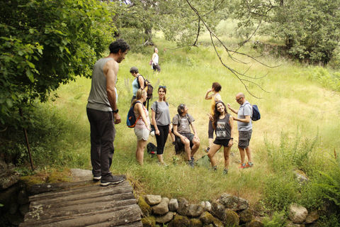 En el bosque de Lalita Devi, Cáceres