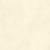 Light Yellow Background