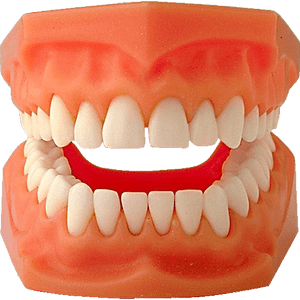 Fake Teeth Mold