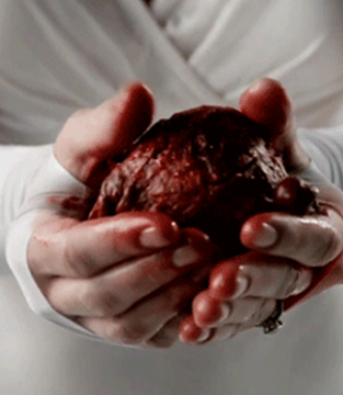 THE KILLING TYPE | AMANDA PALMER