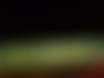 I'VE HEARD NO FAT LADY