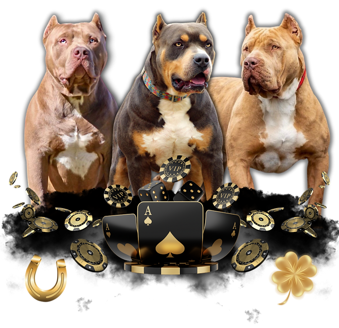 Lucky Strike Bullies XL Bully