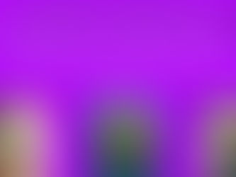 Tony’s Soldiers of Light Sundays™: The Waiting Warrior: Strength in the Standstill