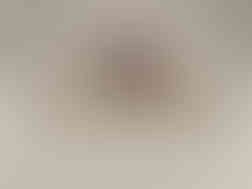 Buy Amazon Mystery Box FBA Pallet