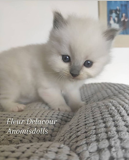 121968934_3428679480519797_1002350805256