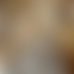 Reflection 04 (8:27): A Context for Saint Francis