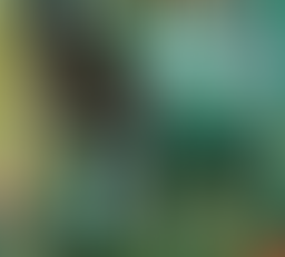 Musa's Exit will Open the Door for Others