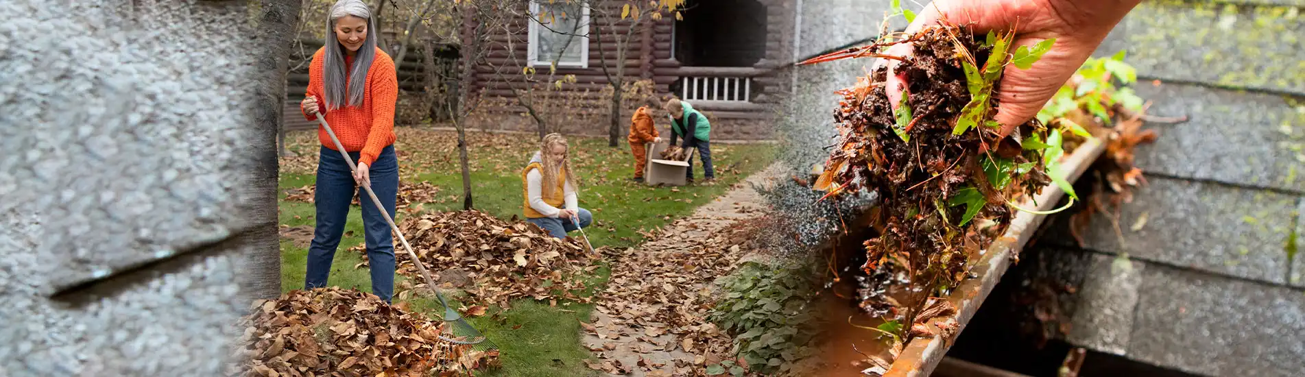 fall.webp