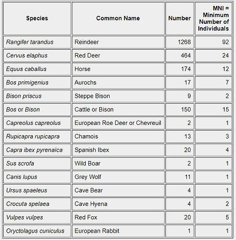 Stone Age - Mas d'Azil animal bones.JPG