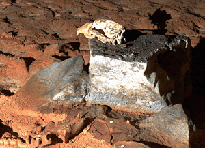 Stone Age - Chauvet2.gif