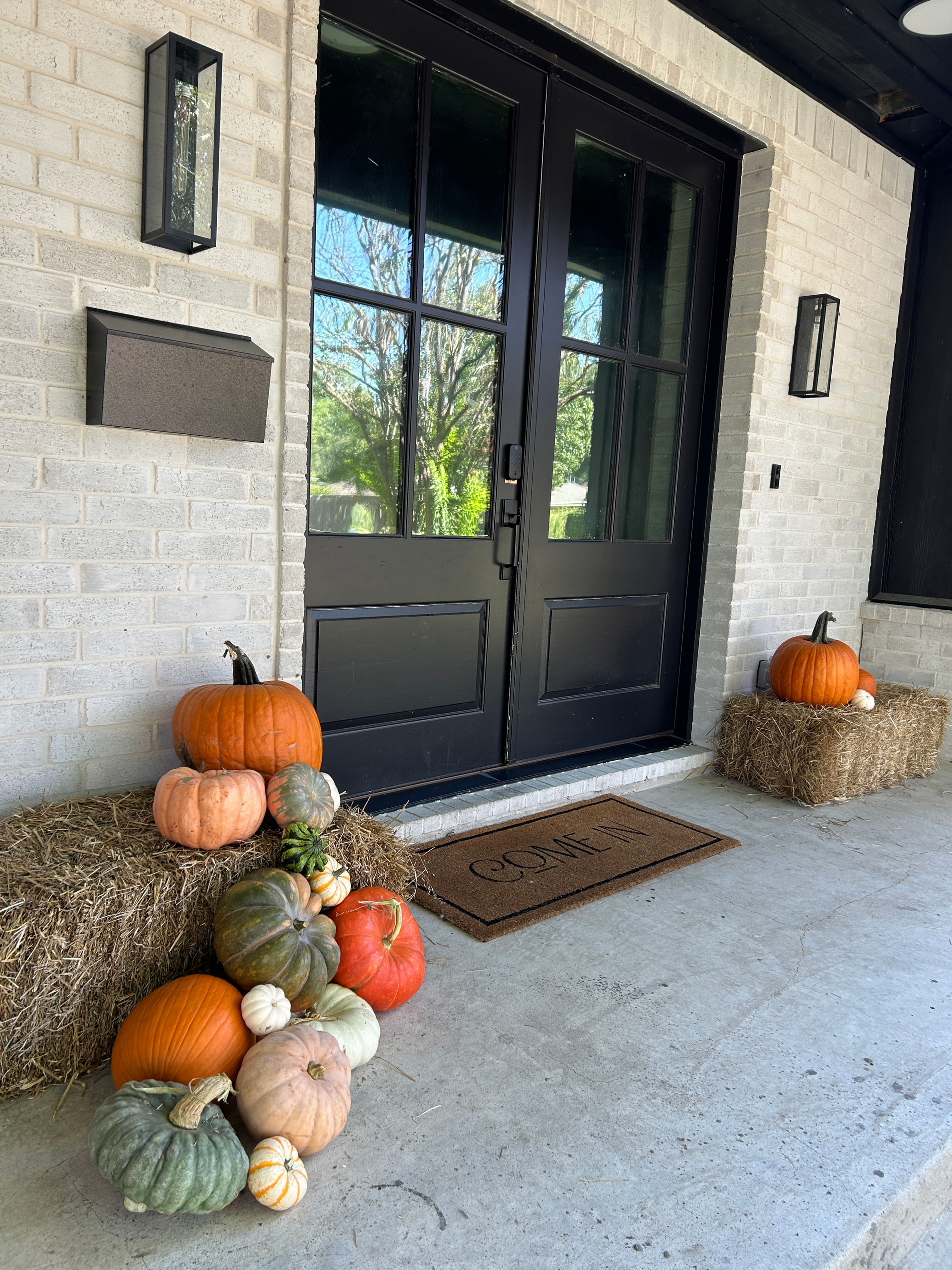 Pumpkin Package #5 17 Pumpkins