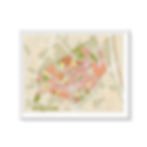 Affiche Plan quartier Roseraie toulouse emylo