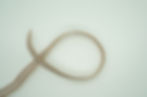 Thumbnail: 1/2" BUCKLE ELASTIC | MULTIPLE COLOR OPTIONS