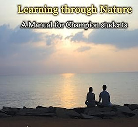 Leaning through Nature book cover.jpg