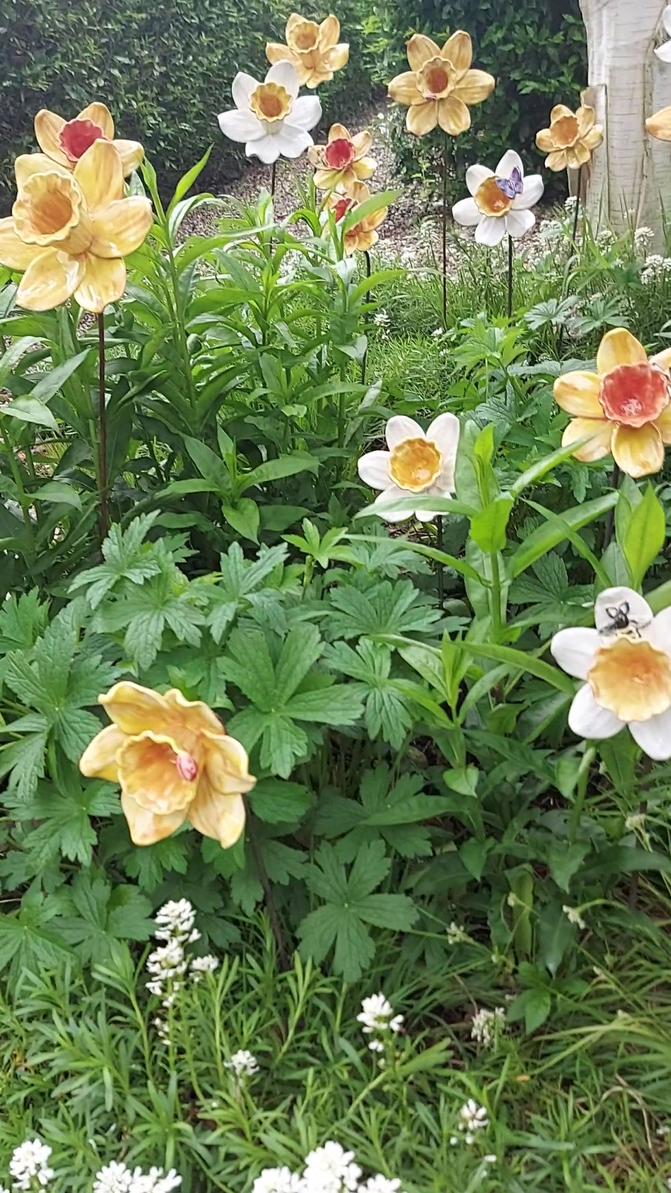 Thumbnail: White and Yellow Daffodil