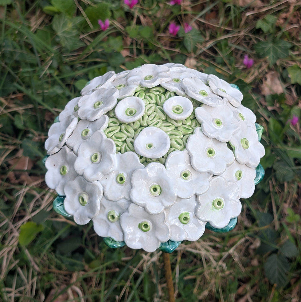 Thumbnail: White Ceramic Lace Cap Hydrangea Flower With Stem