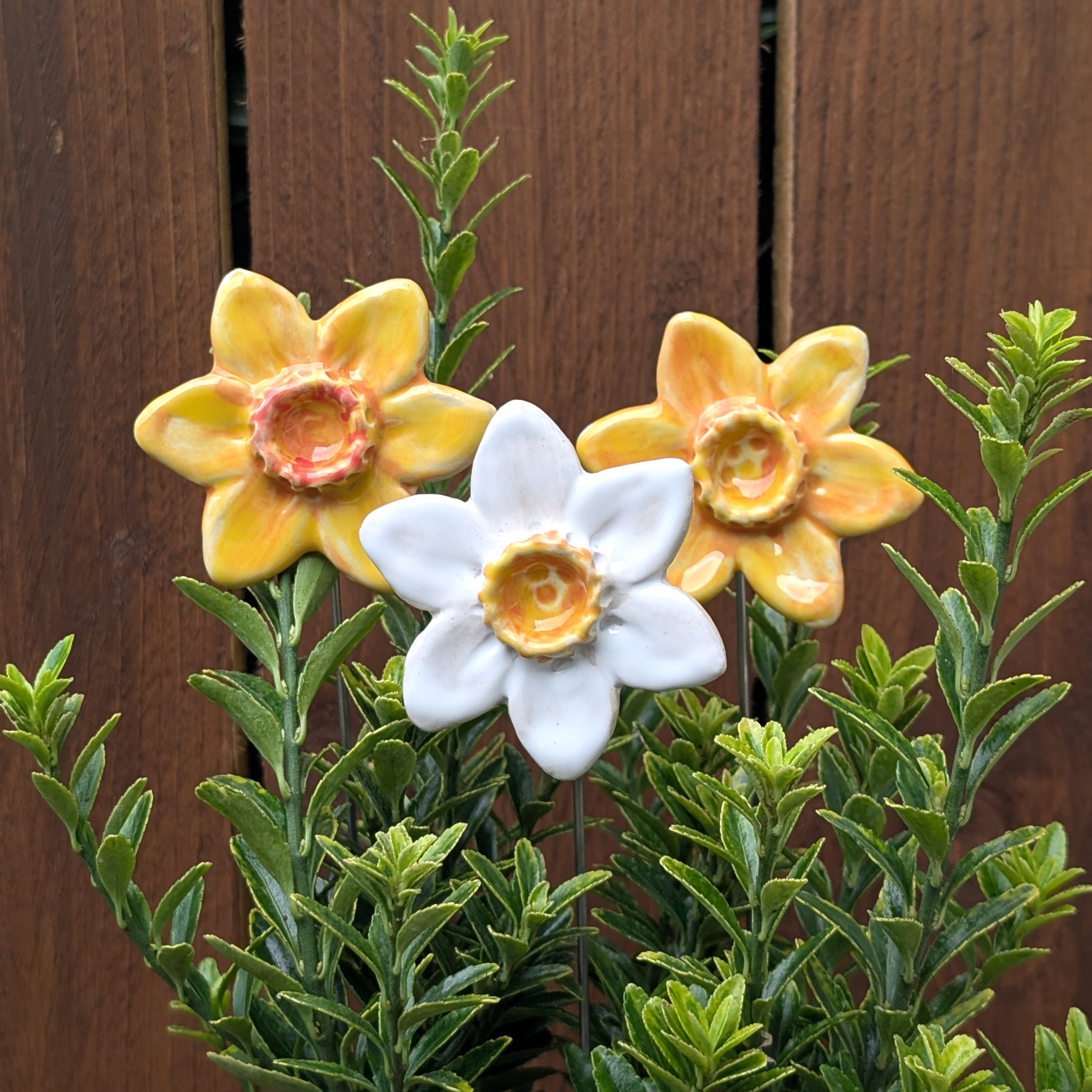 3 Ceramic Daffodil Plant Pot Decorations