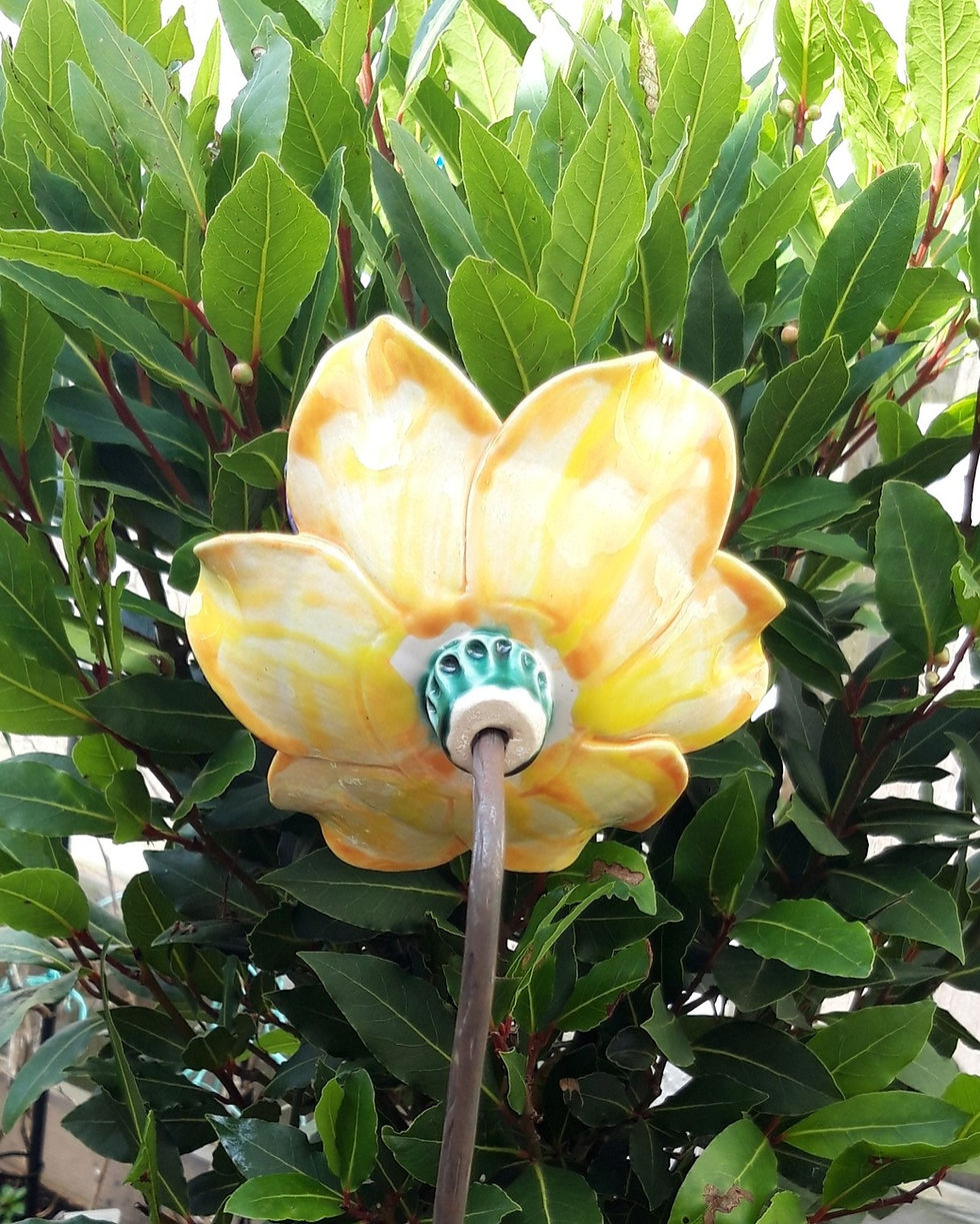 Thumbnail: Yellow Daffodil with Purple Butterfly