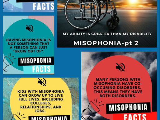 🎙️ MISOPHONIA pt. 2