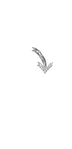 output-onlinegiftools.gif