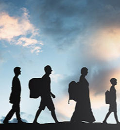 migration_edited_edited.jpg