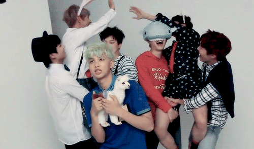 tumblr_nrhs3nGmWM1uz1nd8o1_500.gif