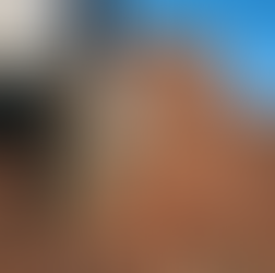 מה בין טיול משפחות במדבר לתרבות ארגונית?