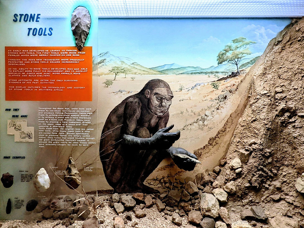 Museum of Human Sciences