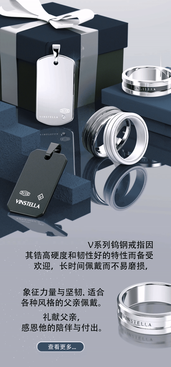 父亲节特备vinstella礼物特选2