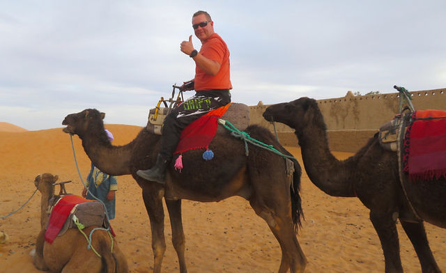 Moroccan camels in the desert, man riding camel