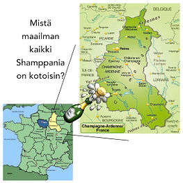 Where from is champagne comin?.jpg