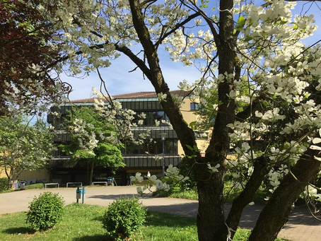 Ihre Spende zählt – für die Schülerinnen und Schüler der Feldbergschule