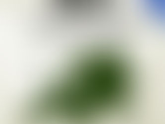 Europa-Tag des Hochtaunuskreises am 10. Mai 2025 in Schloßborn
