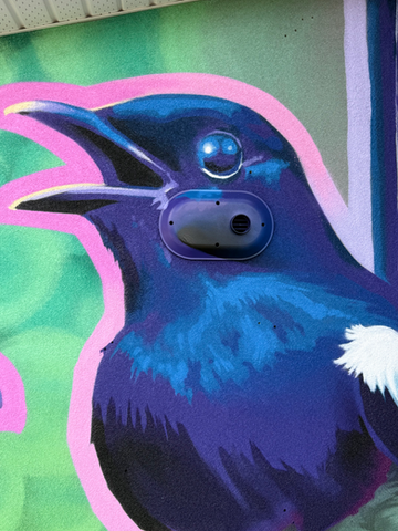 Aerosol Expression