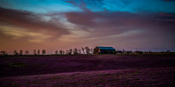 EMO_0379-2