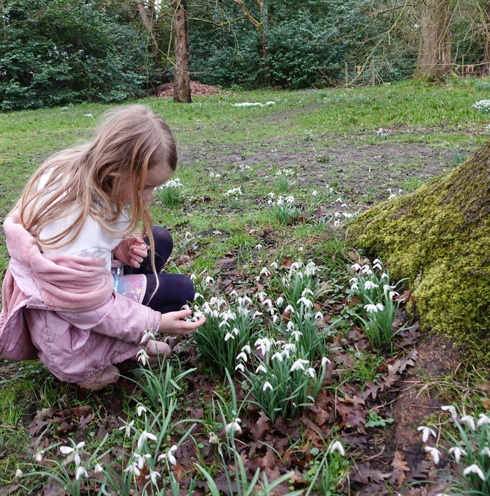 Young girl crouches in a woodland garden, gently touching white snowdrops beside a mossy tree trunk.