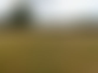 Young girl runs through tall grass in a wide meadow with trees under a cloudy sky.