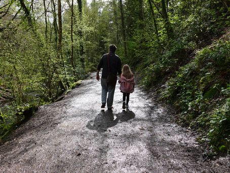 Man and young girl walk hand in hand along a sunlit forest trail, surrounded by lush green trees and damp path.