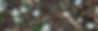March or April 2017 124_edited.jpg