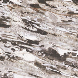 arabiscato-tigger-47807