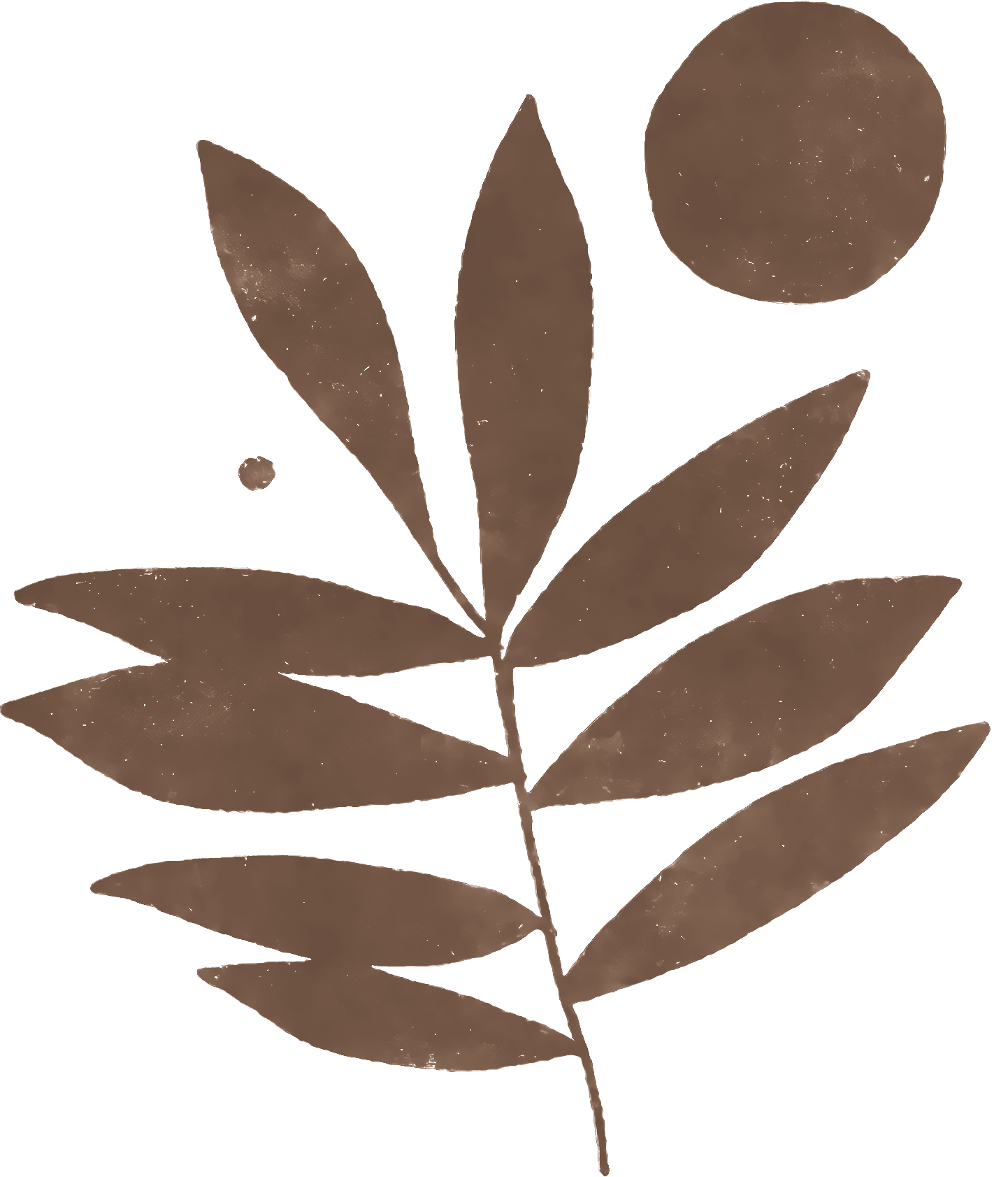 Plant Design