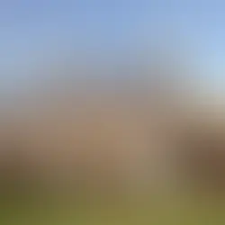 Tout ce que vous devez savoir sur Malom Events : votre partenaire événementiel en Suisse romande