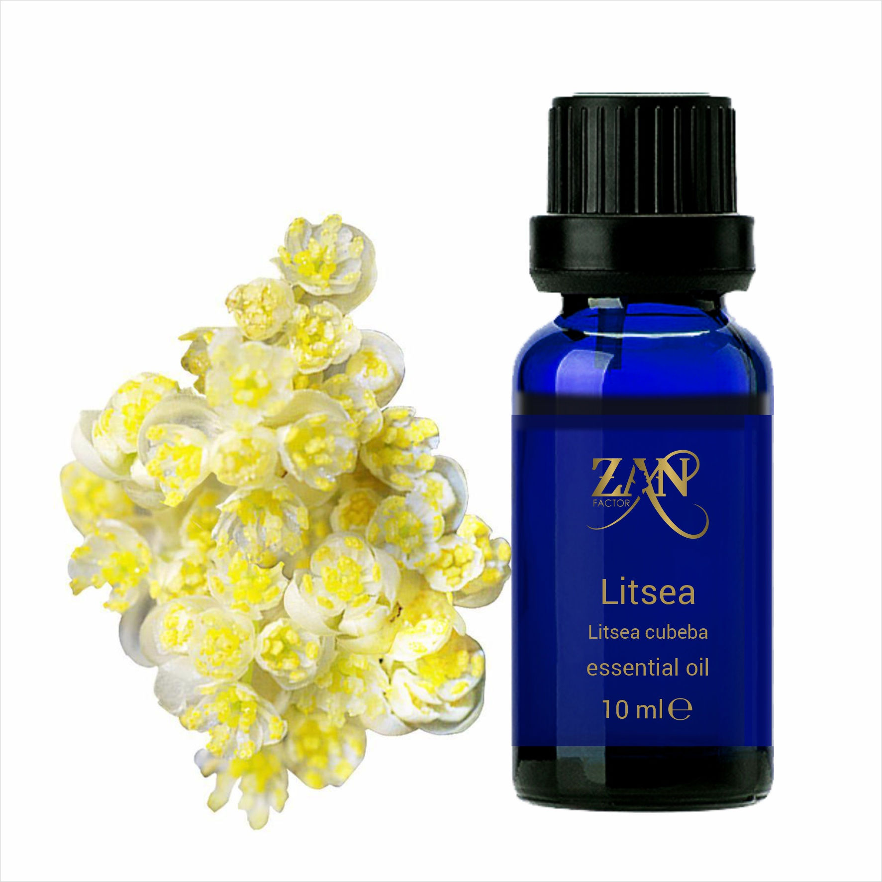 Litsea essential oil