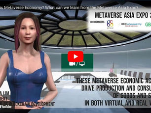 The Vice-President Dr. Amanda tells you what metaverse economy is