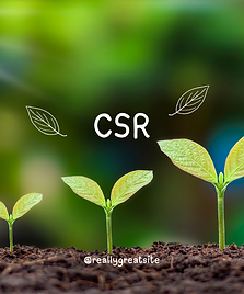 CSR.png