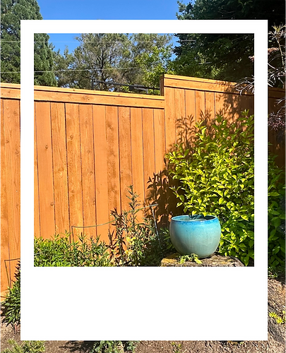 Cedar fence staining and wood restoration in Portland, OR