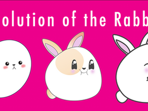 Rabbit Evolution